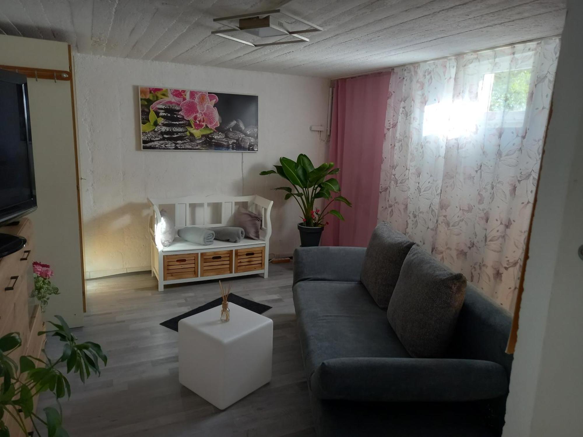 60 M² Ferienapartment Zentrumsnahe Mit Gartenbenutzung Steyr Exterior foto